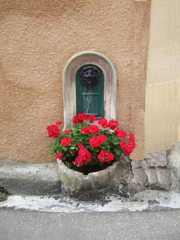 La Maison Daire Axat Dış mekan fotoğraf